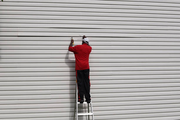 Best Custom Siding Design  in Sturgeon, MO
