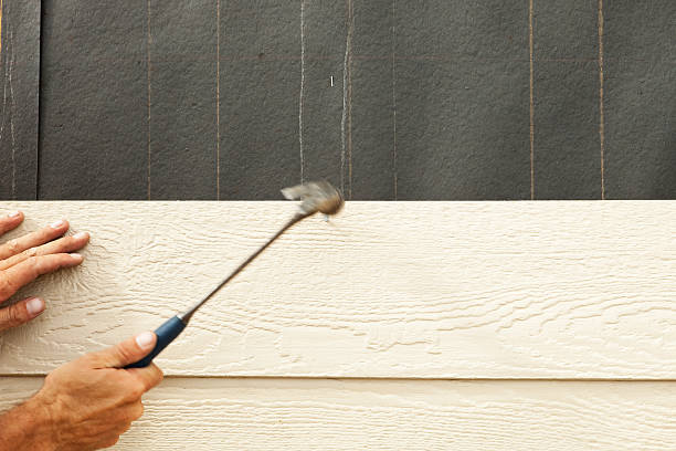Best Stucco Siding  in Sturgeon, MO